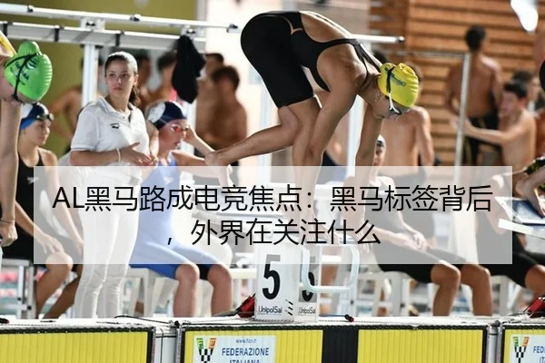 AL黑马路成电竞焦点：黑马标签背后，外界在关注什么